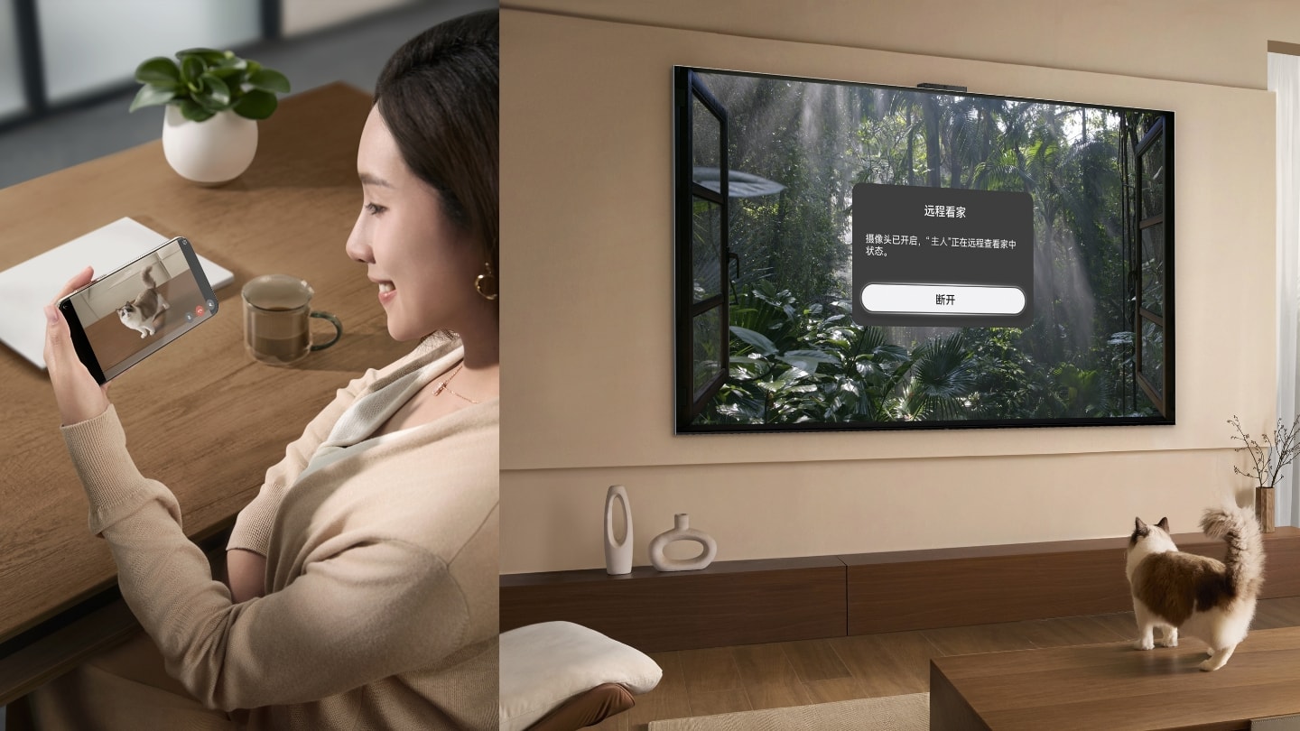 用户在手机上就能看到家中动态，展示了智慧屏摄像头实时记录的功能