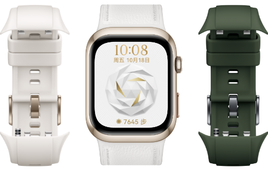 HUAWEI WATCH D2 与表带图，展示了WATCH D2 更多表带的选择功能