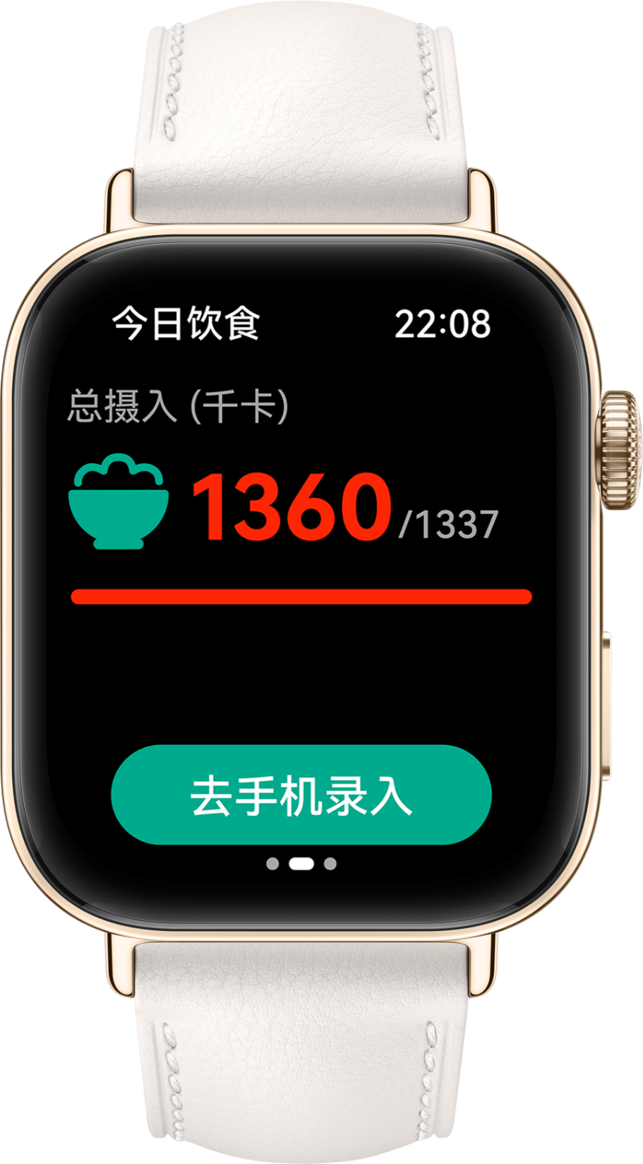 HUAWEI WATCH FIT 3 饮食录入
