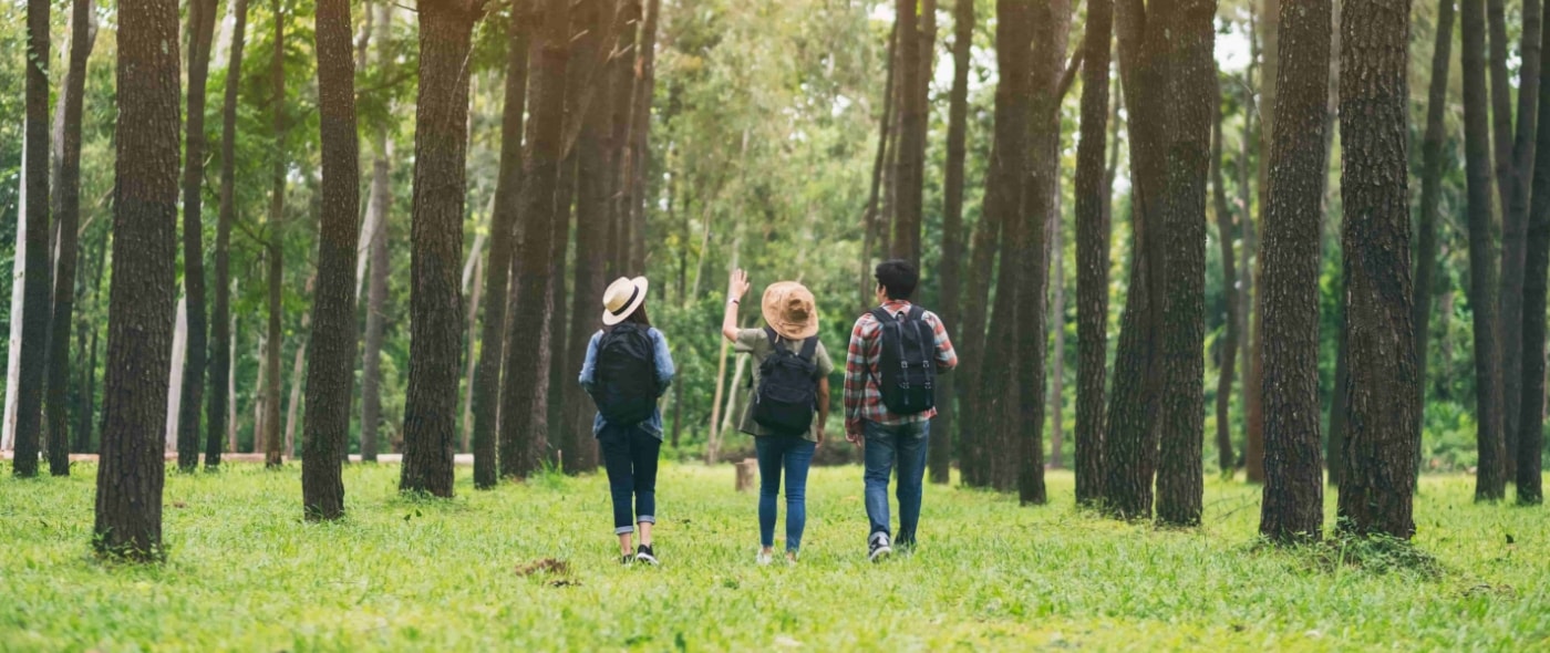 HUAWEI WATCH FIT 4 多样化运动