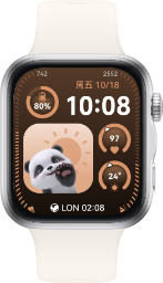 HUAWEI WATCH FIT 5 多色组合，展示了手表丰富表盘