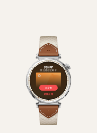 HUAWEI WATCH GT 5 的NFC功能