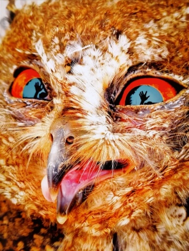 2025 华为影像大赛（XMAGE Awards 2025）大师样张 6