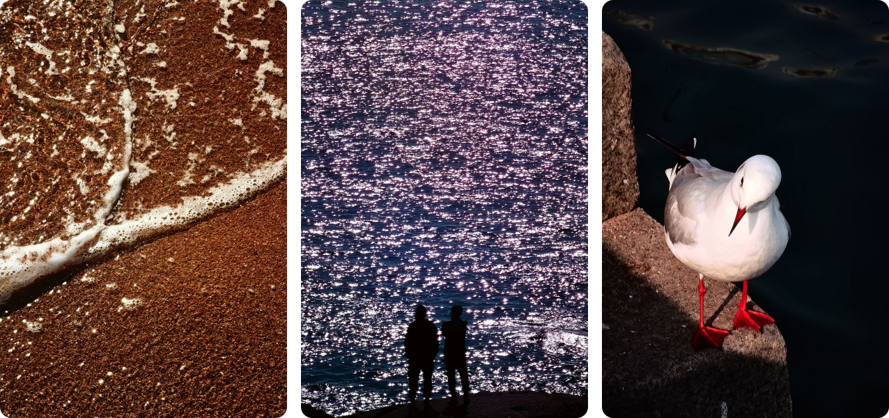习作——海水