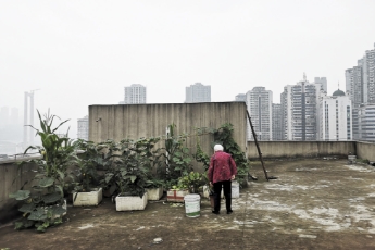 Rooftop in the City