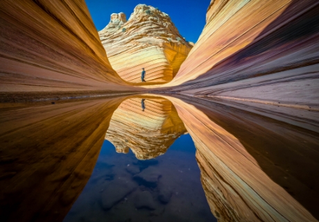 Reflection