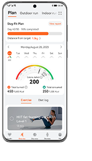 HUAWEI Health Stay Fit Plans