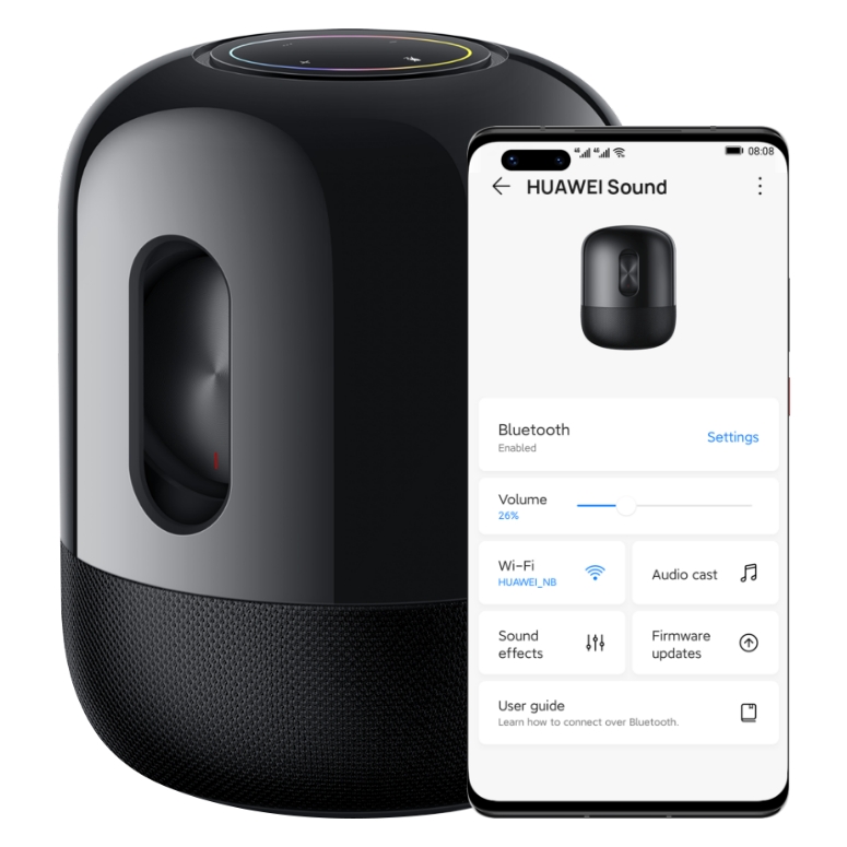 HUAWEI AI Life Speaker UI