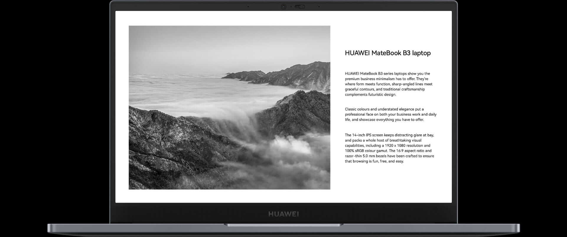 HUAWEI MateBook B3-440 Display