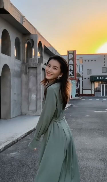 video fallback