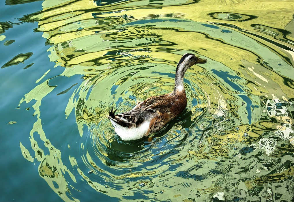 A photo sample of HUAWEI Mate 70 Pro's brand-new XMAGE Original style, showcasing authentic colors