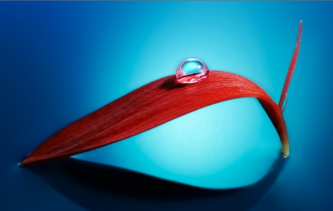 HUAWEI nova Y72 Rear Camera