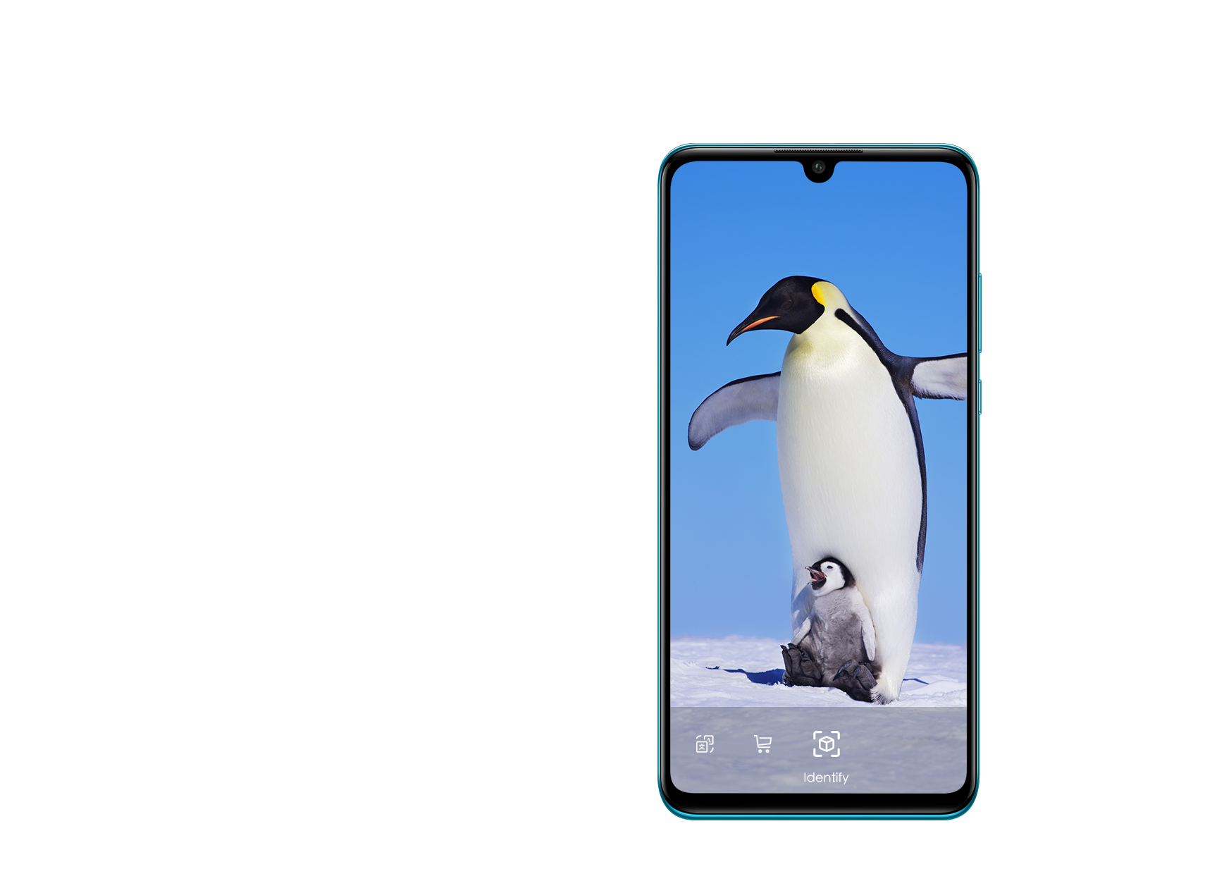 HUAWEI P30 lite New Edition, AI Driven Selfie HUAWEI UK