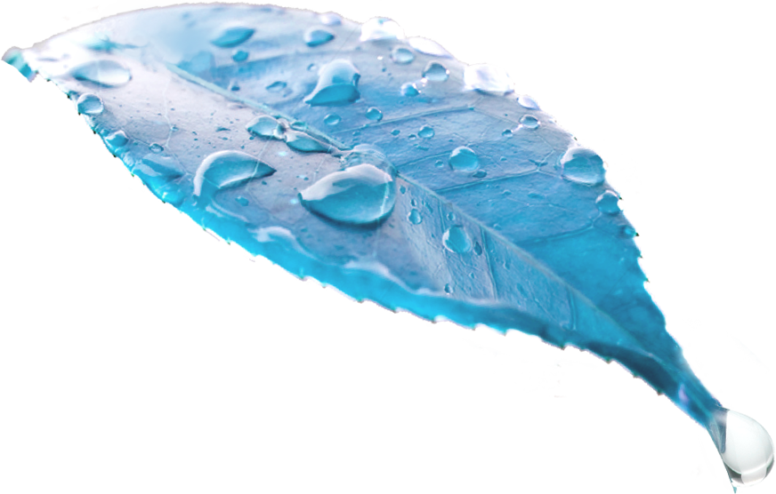 Huawei P30 lite Dewdrop Display