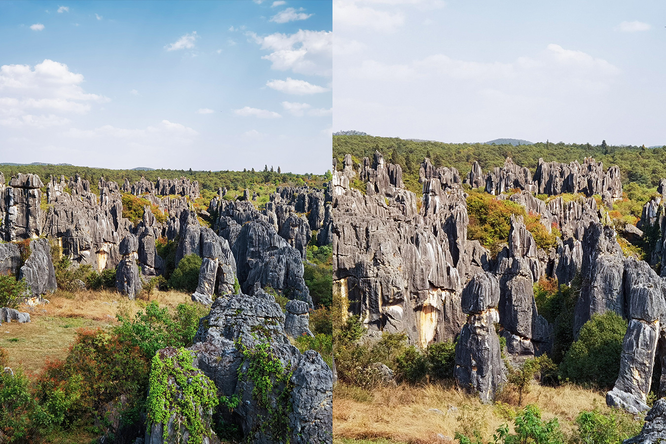 huawei p40 super definition daylight sample photo