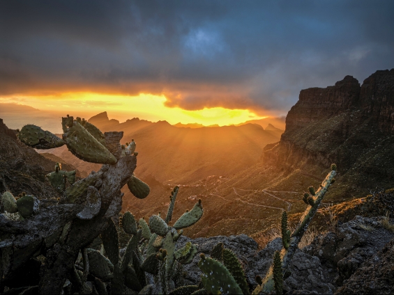 Night scenery photos taken by HUAWEI Pura 80 Pro, display the function of 1-inch Ultra Lighting Camera