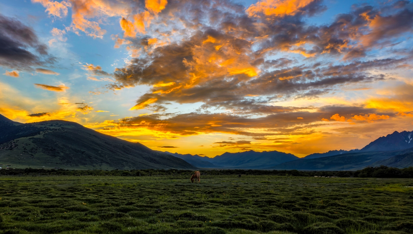 Photos taken by HUAWEI Pura 80 cameras, display the phone's Ultra Chroma XMAGE camera function