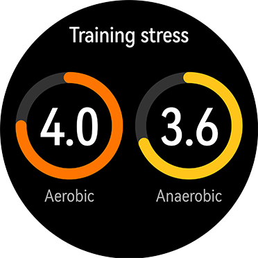 Aerobic Anaerobic Training Stress
