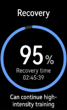 HUAWEI WATCH FIT Special Editio Recovery Time