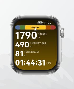 HUAWEI WATCH FIT 4 Real-time Data