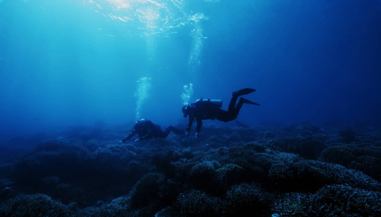 Post-dive sharing through the HUAWEI WATCH Ultimate 2, with options like viewing historical messages and sharing diving data