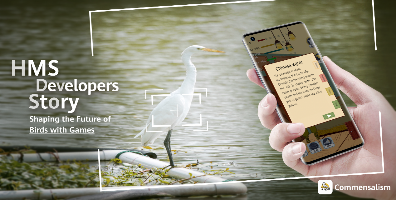 HMS Developer Story: Shaping the Future of Birds with Games