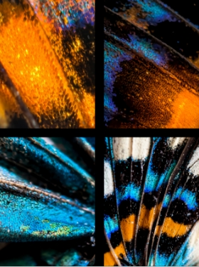 HUAWEI XMAGE Awards 2025 Category KV 7