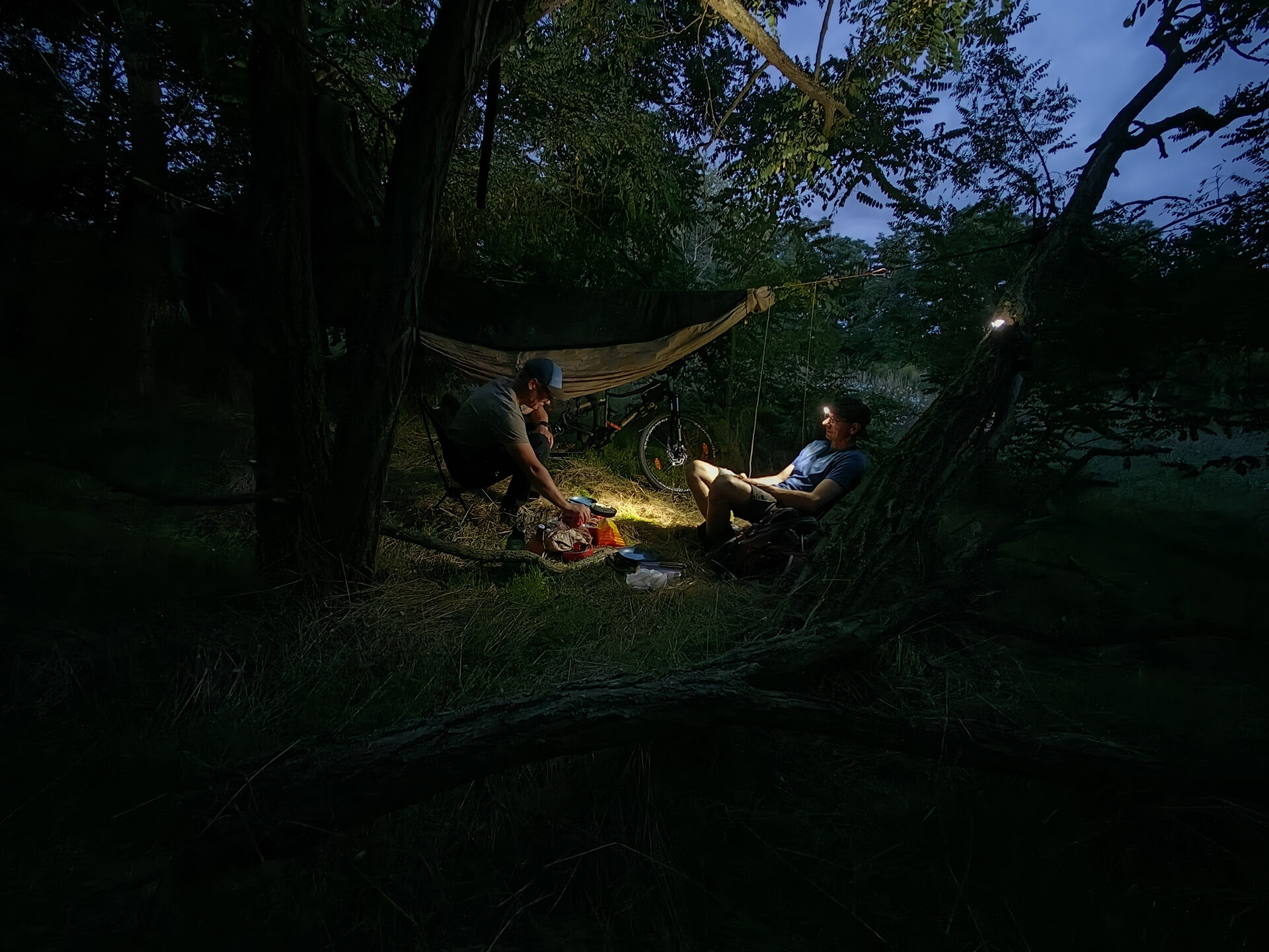 Bushcraft