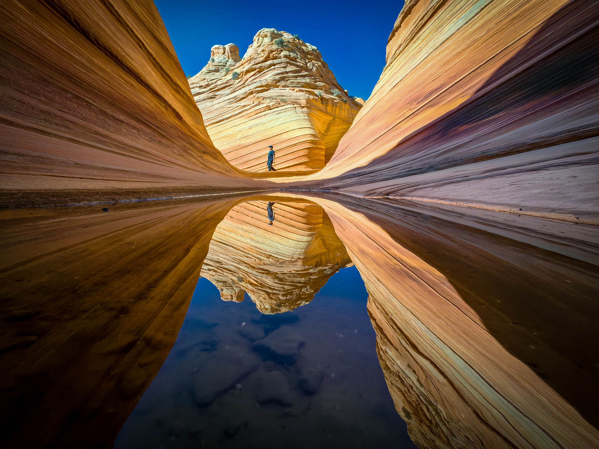 Reflection