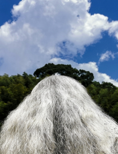 Flowing Years of Waterfall