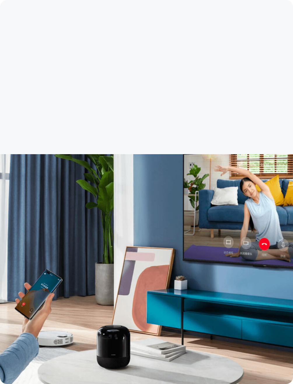 HUAWEI Vision Support