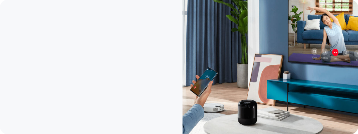 HUAWEI Vision Support