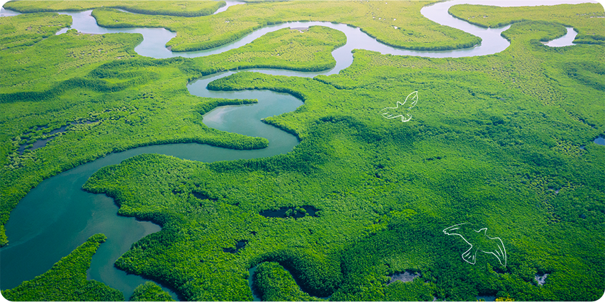 华为可持续发展底部绿色环保