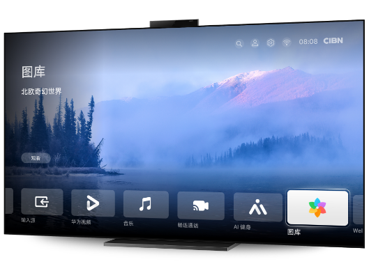 HUAWEI Visions ID