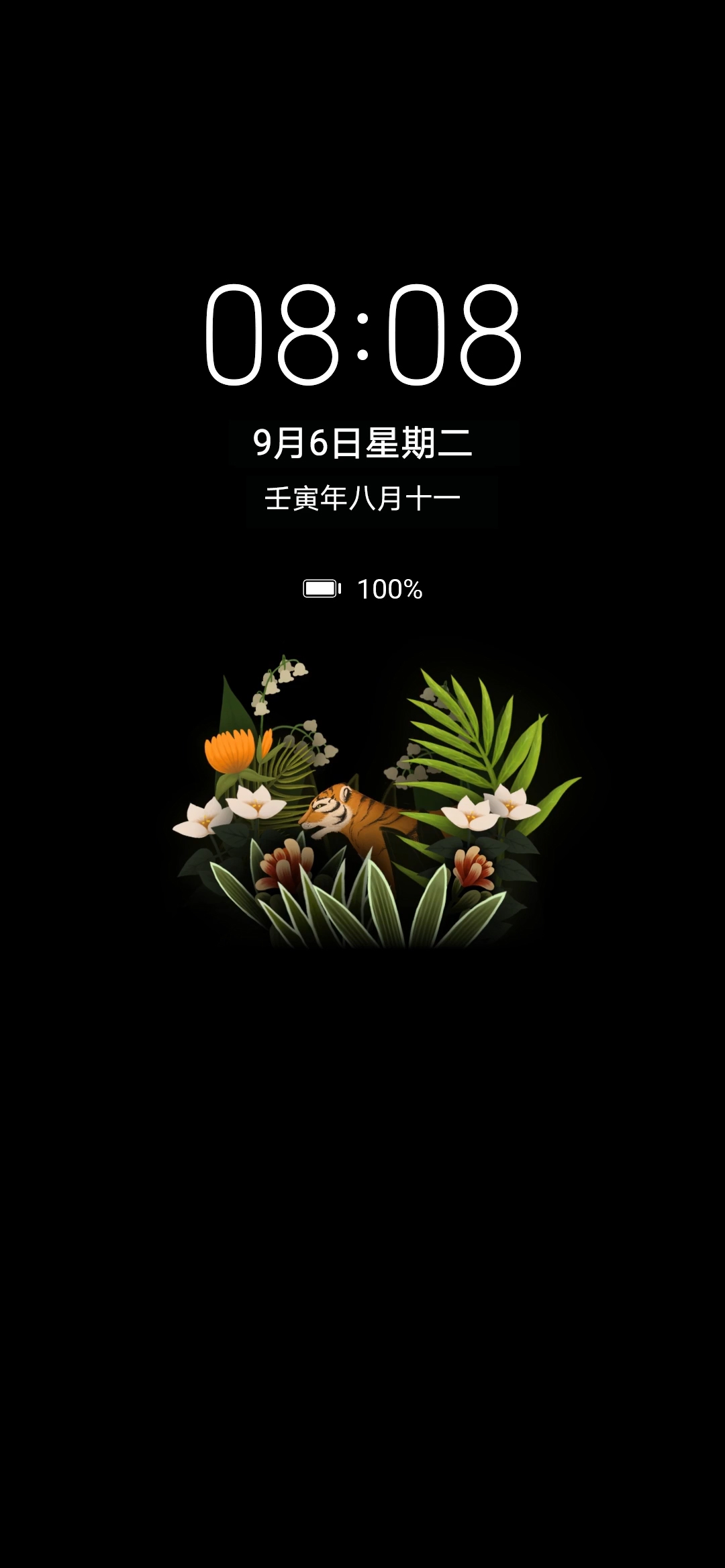 华为主题息屏显示