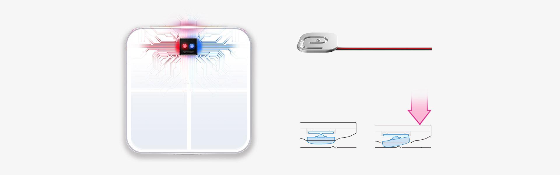Diseñado al detalle, medición adecuada Diseñado al detalle, medición adecuada