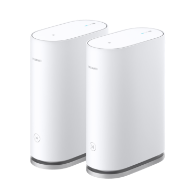 Mesh System