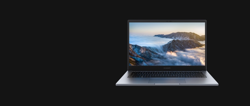 HUAWEI MateBook B3-440 Top Features