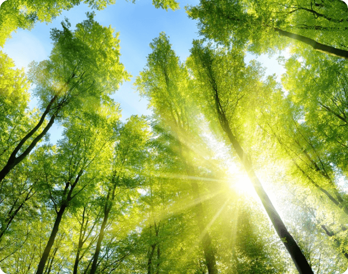 HUAWEI Sustainability Page 1 Environment