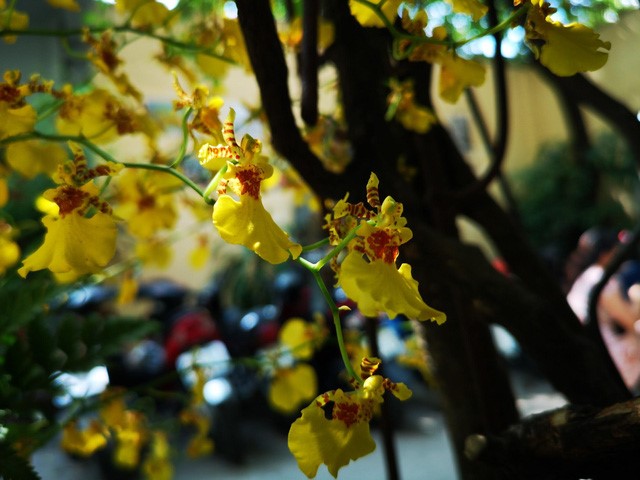 HUAWEI P20 Pro