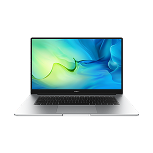 HUAWEI MateBook D 15 2022