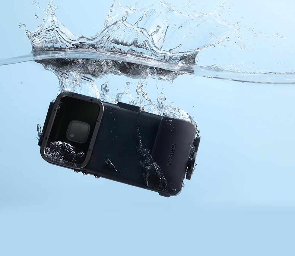 Discover the Aquatic Beauty