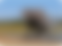 HUAWEI P50 Pro Super Clarity Photo