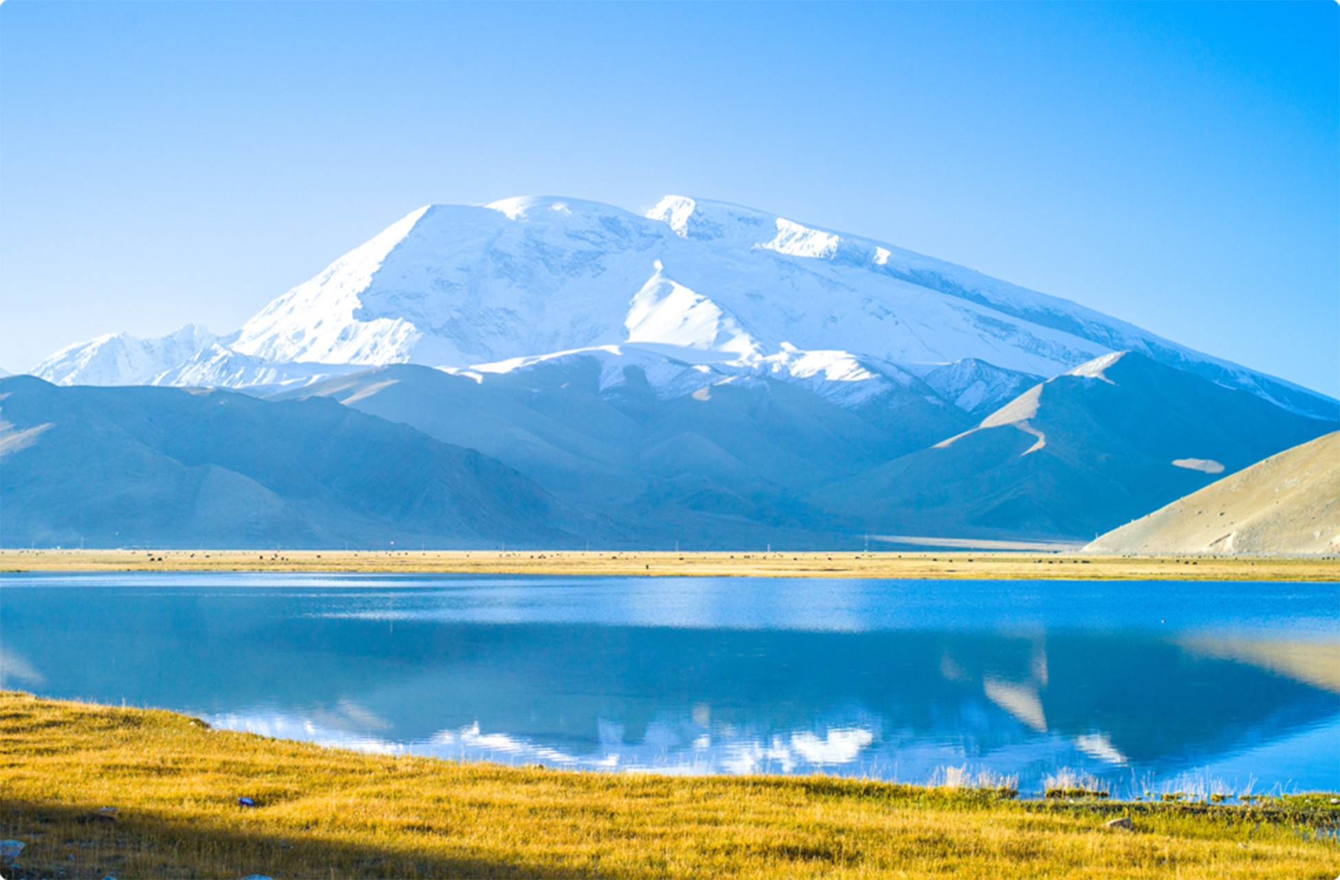 HUAWEI MatePad 11.5-inch PaperMatte Edition Top Features