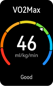 HUAWEI WATCH FIT Special Edition Vo2 Max