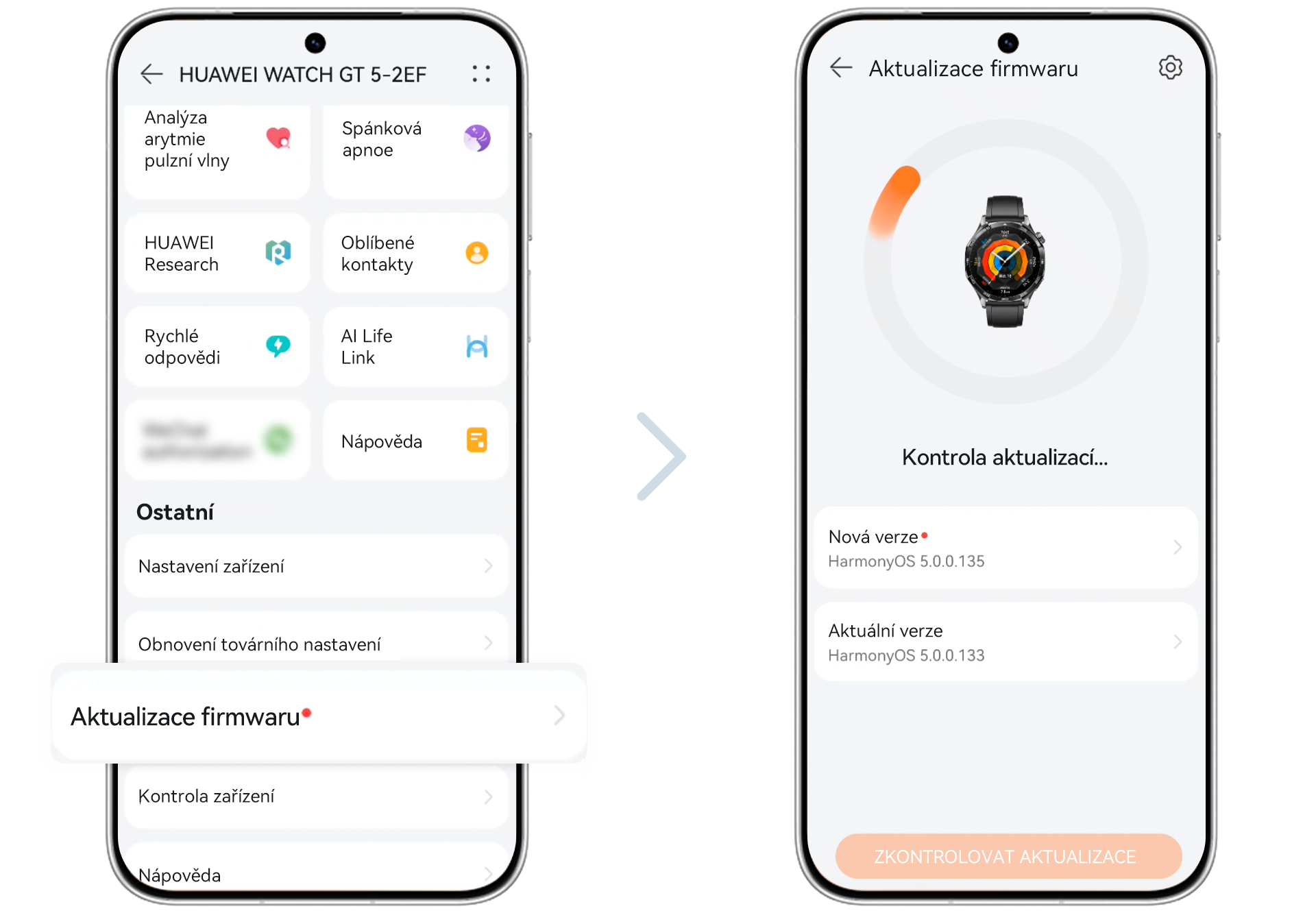 Upgrade the watch system version