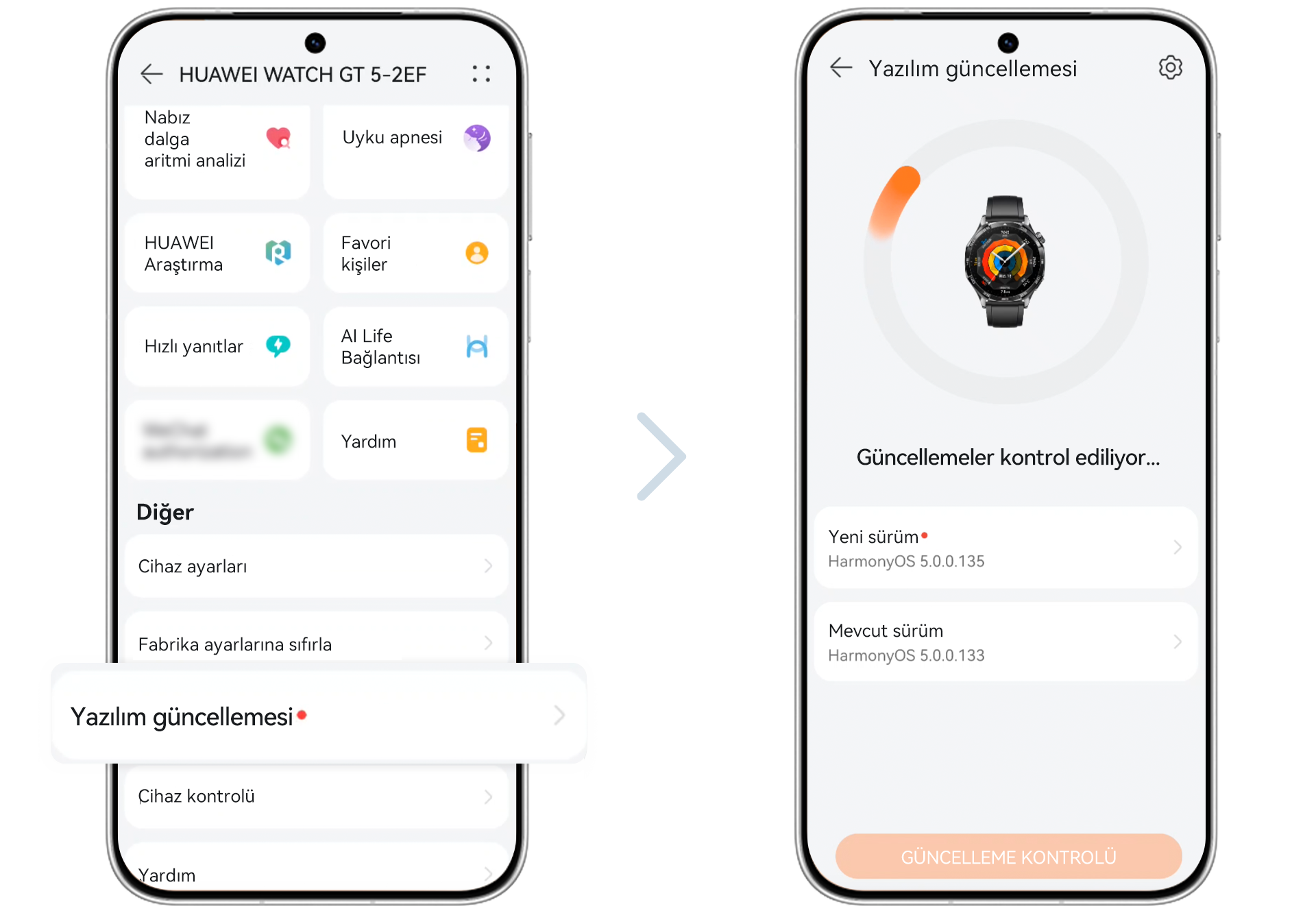 Upgrade the watch system version