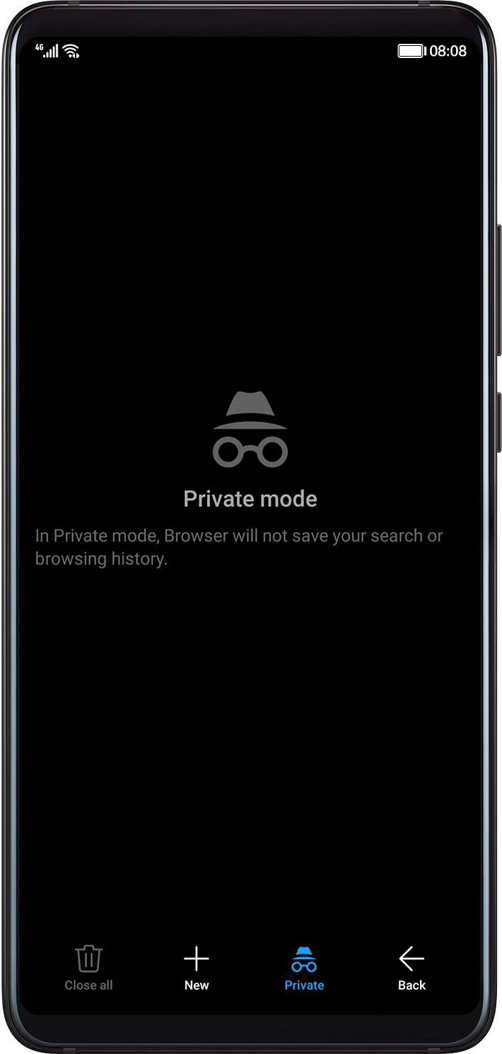 Private mode