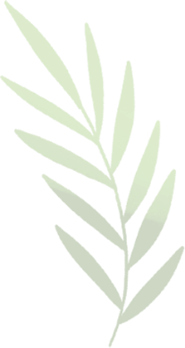 A general introduction of HUAWEI Notes app