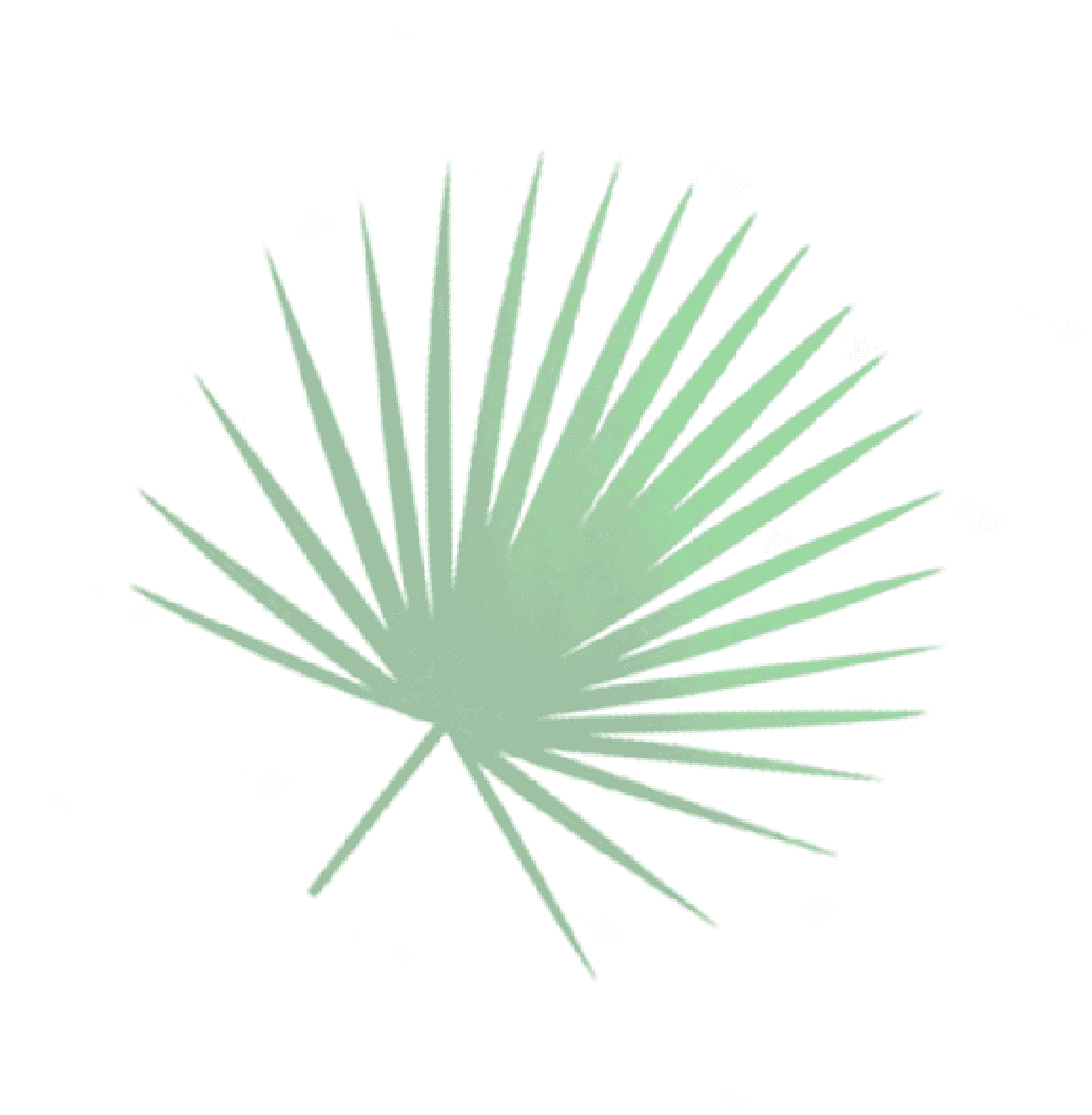 A general introduction of HUAWEI Notes app